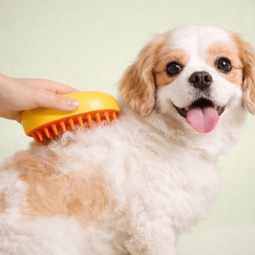 Cepillo Vaporizador Para Perros Y Gatos 3 En 1 Con Pulverizador De Agua Y Vapor (Amarillo)