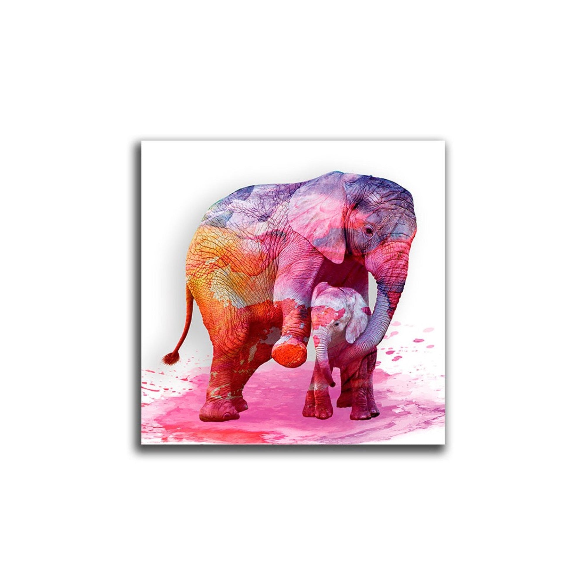 Cuadro Decorativo Elefante Pintura L 60X60 cm - Impresion en Tela