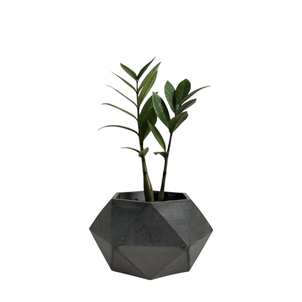 matera de mesa en cemento adara oscuro  de concreto tienda online de materas y decoración_02