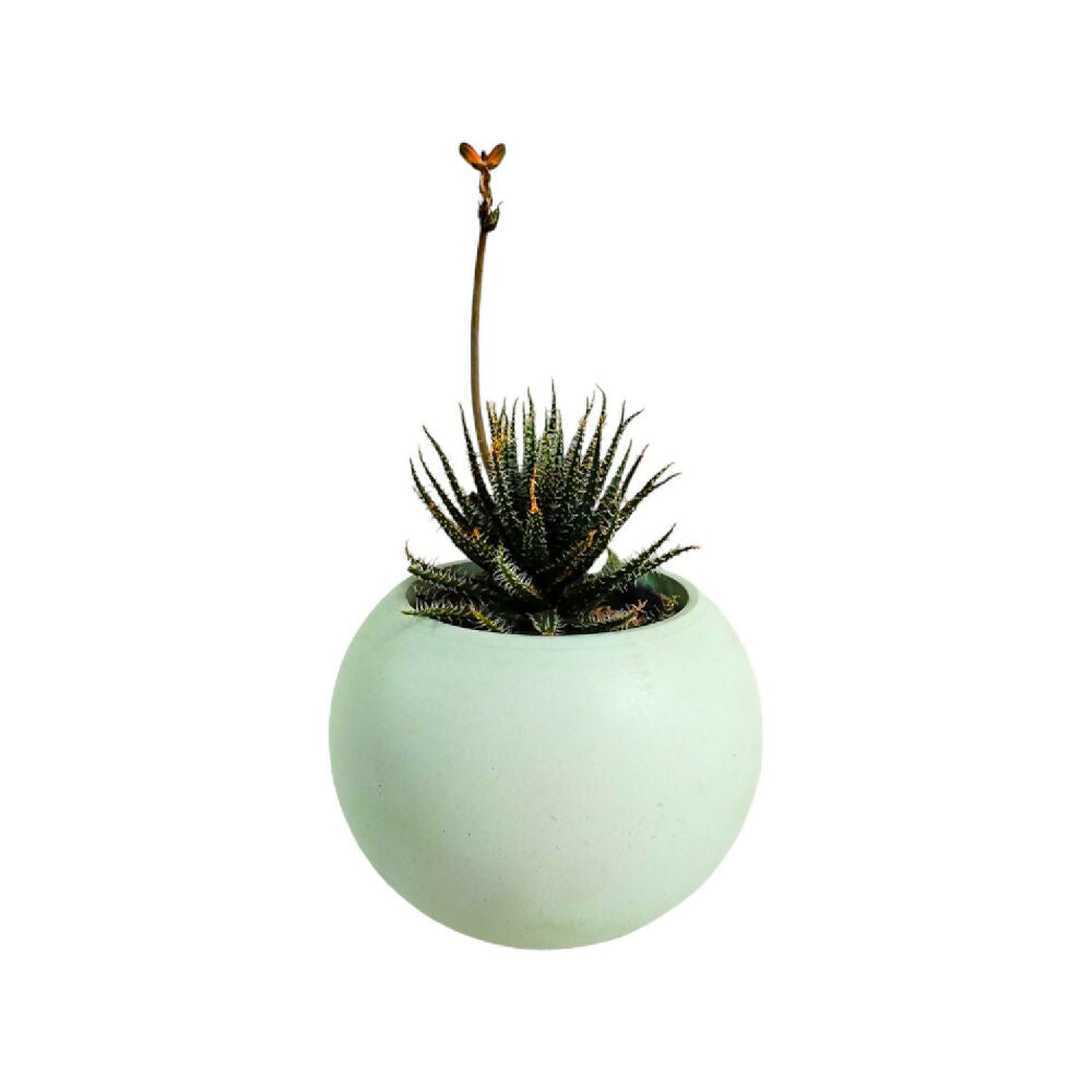 matera de mesa en cemento luna mini verde menta de concreto tienda online de materas y decoración_01