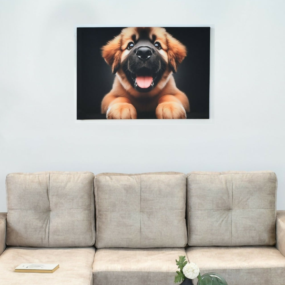 CACHORRO M _1 (Personalizado)
