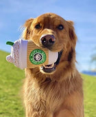 Star Pups Juguete de café para perros Pup'kin Spice Latte Juguete de otoño