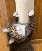 Poste rascador de gato montado en la pared para gatos de interior Estantes de