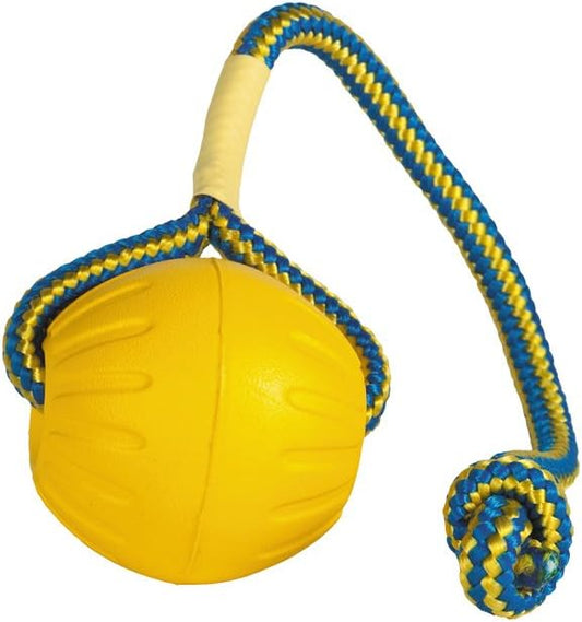 Juguete de perro Fantástico Balón de espuma en una cuerda, L, Dorado y amarillo