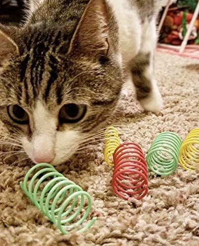 Juguete para gato Pet, plástico colorido y resistente, 10unidades por paquete,