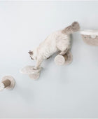 Juego de plataforma para gatos de montaje en pared, marrón, 2 plataformas,