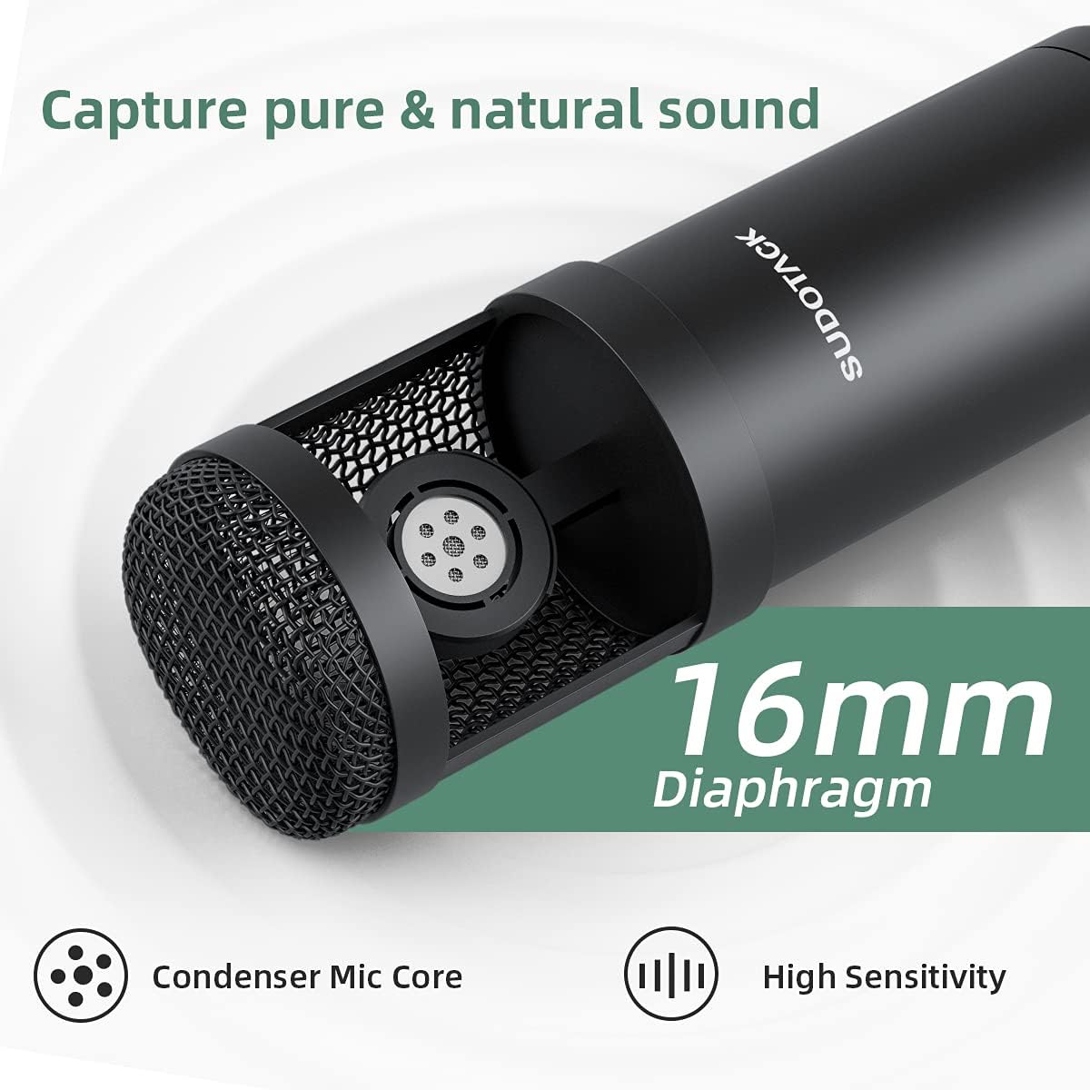 Micrófono karaoke con altavoz – Natura