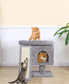 Árbol pequeño para gatos de interior, moderna torre de actividades para gatos