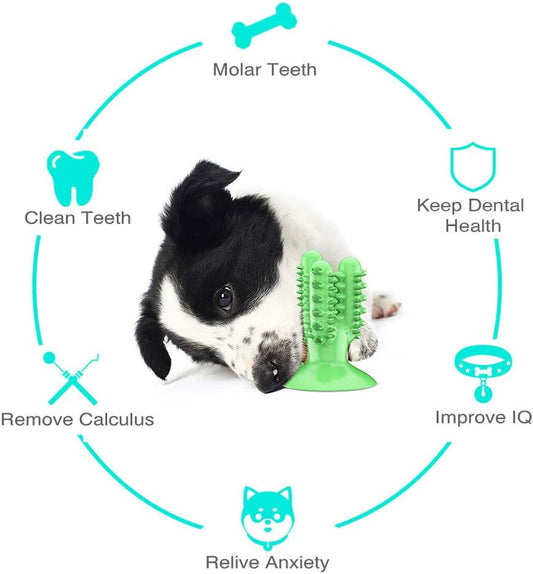 Cepillo de dientes para perro juguetes para masticar palito de limpieza de