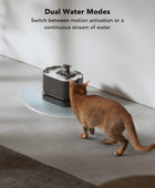 Fuente de agua para gatos con pilas, fuente de agua inalámbrica Dockstream de 2,5L84 onzas