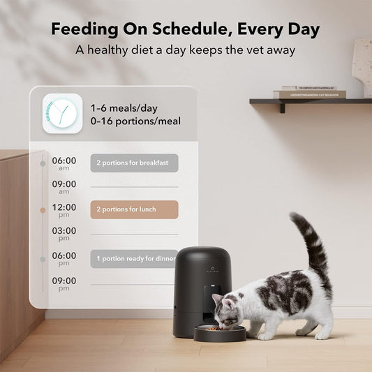 Alimentadores automáticos para gatos, alimentador programable para gatos de 1 a