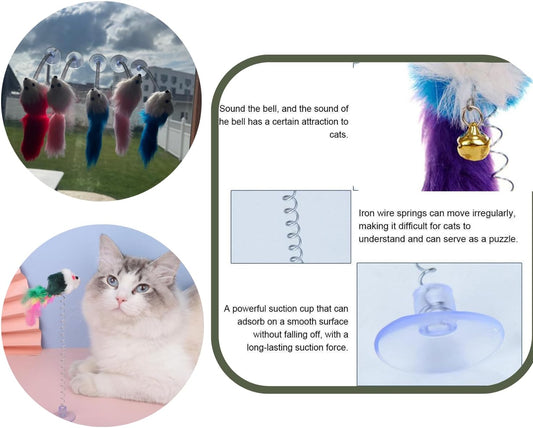5 piezas de juguete interactivo para gatos con succión para gatos de interior