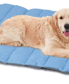 Cama para perros al aire libre, cama impermeable para perros y gatos, lavable a