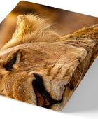 Funda de edredón con estampado de león en 3D, diseño de animales salvajes,