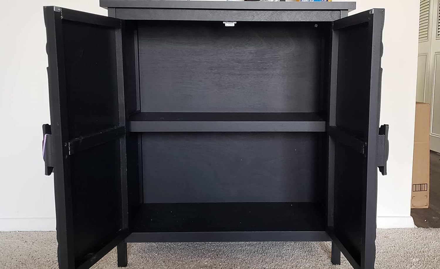 Armario de almacenamiento negro con 2 puertas y estantes para sala de estar