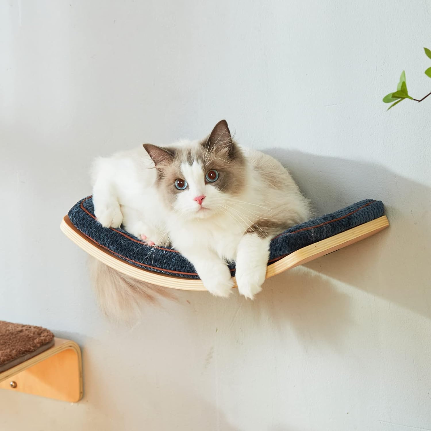 Estante para gatos con cómodo cojín para gatos, estantes curvos y perchas para