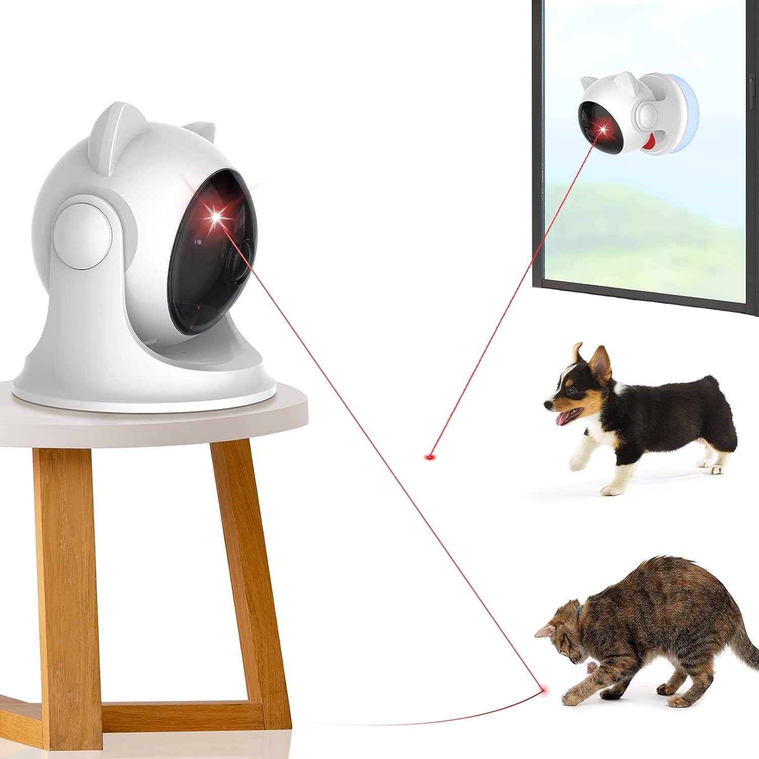 Laser interactivo juguete para gatos - MASCOTAMODA