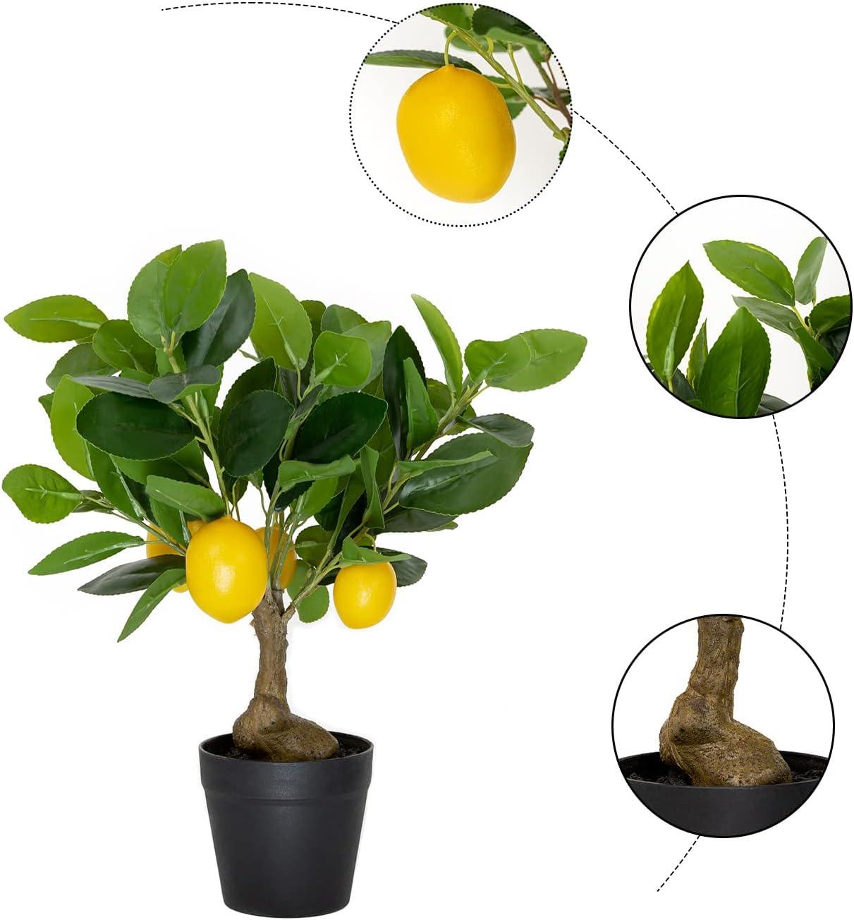 Plantas artificiales en maceta de 16 pulgadas, fruta artificial, árbol de - VIRTUAL MUEBLES