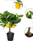 Plantas artificiales en maceta de 16 pulgadas, fruta artificial, árbol de - VIRTUAL MUEBLES