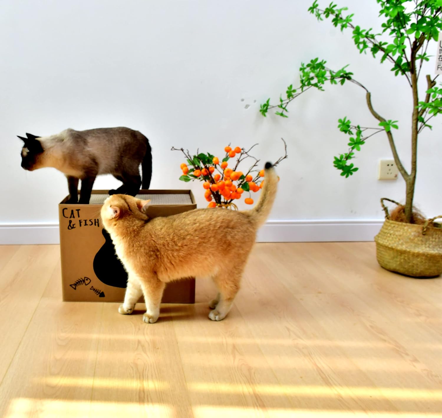 Casa plegable para gatos de dos pisos, caja de rascadores corrugados de doble