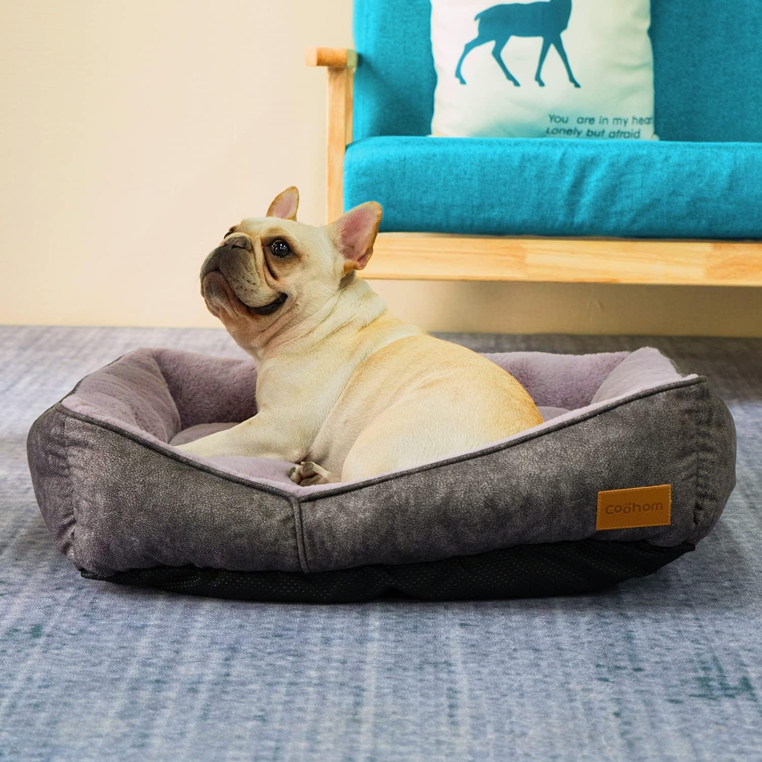 Coohom Cama rectangular lavable para perro cómoda y cálida cama de diseño