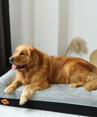 Cama ortopédica de espuma viscoelástica extra grande para perro, con almohada y