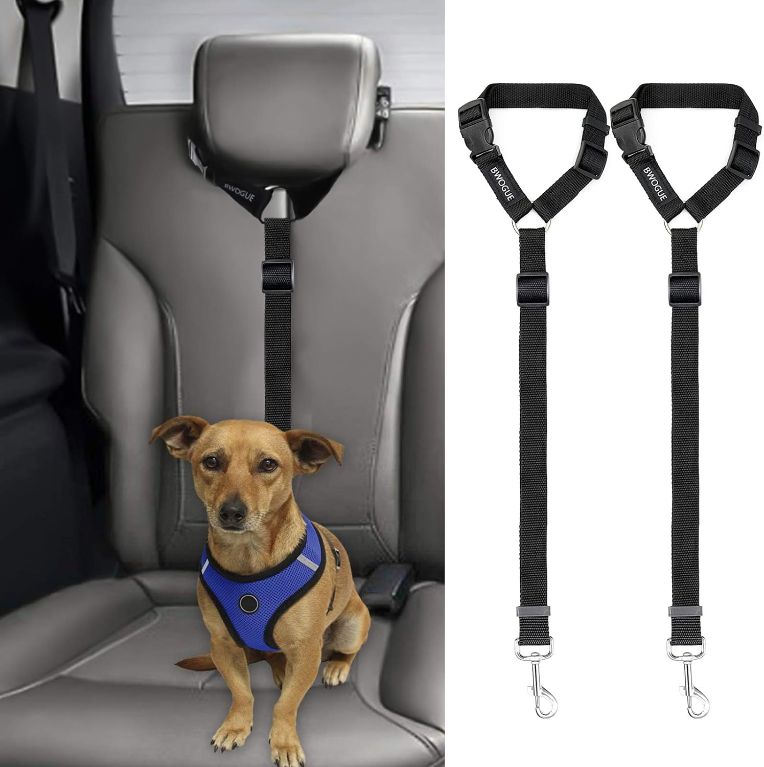 NEW Cinturon Seguridad de Coche para Perros, con Broche al Cinturon de  Seguridad