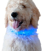 Collar de perro con luz LED de alta visibilidad, azul, pequeño