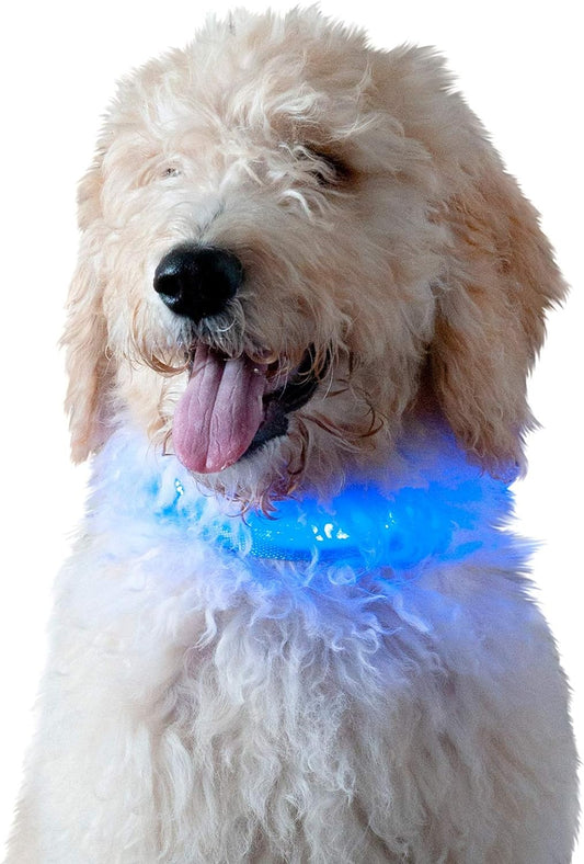 Collar de perro con luz LED de alta visibilidad, azul, pequeño