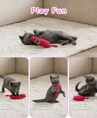 5 piezas de juguete para gatos, masticable, resistente a mordeduras, diseño de