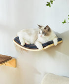 Estante para gatos con cómodo cojín para gatos, estantes curvos y perchas para