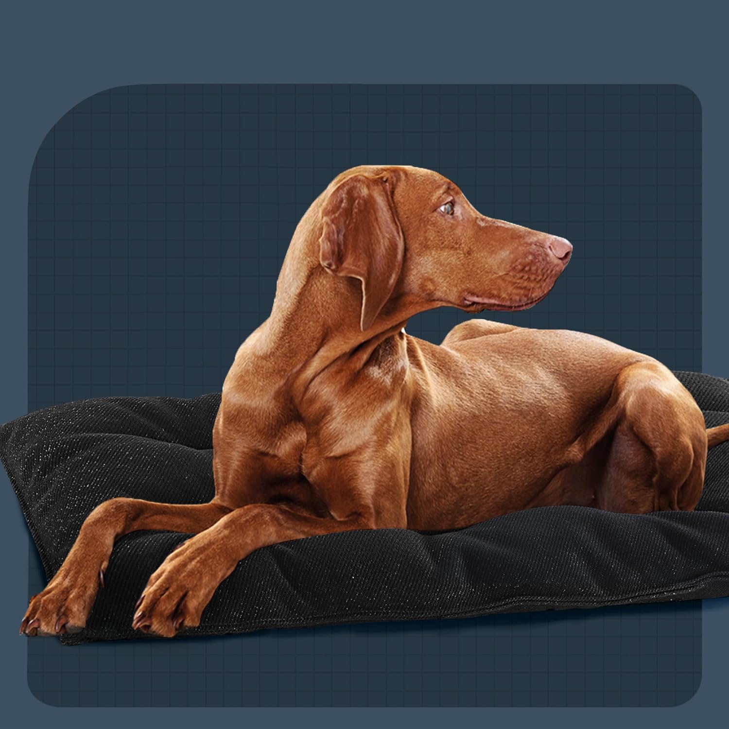 Camas indestructibles para perros a prueba de mordidos, cama duradera para