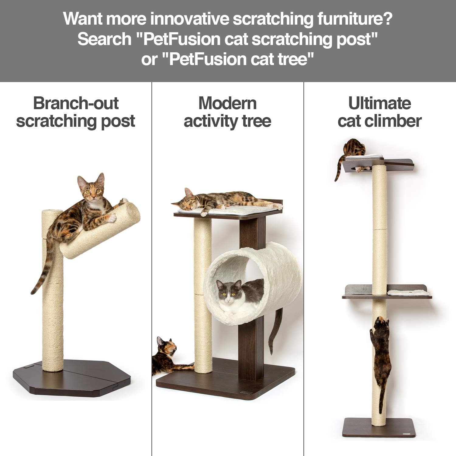 PetFusion Infinity Rascador para gatos, camastro, reversible, disponible en