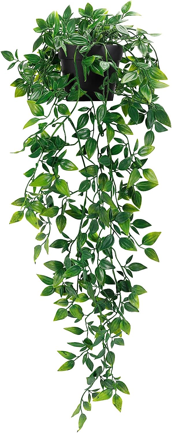 Z/C Planta falsa – Planta artificial en maceta colgante, plantas suculentas  artificiales, pequeña planta falsa en maceta, plantas falsas para estética