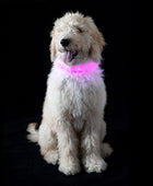 Collar de perro con luz LED de alta visibilidad, color rosa, pequeño