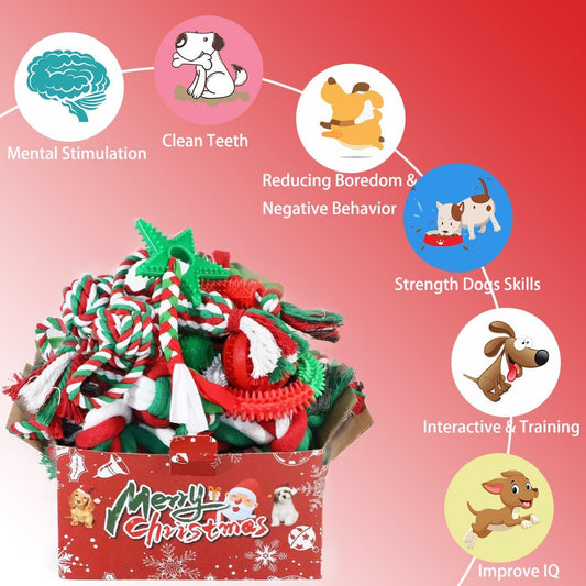 Juguetes masticables para cachorros para dentición, paquete de 15 juguetes de