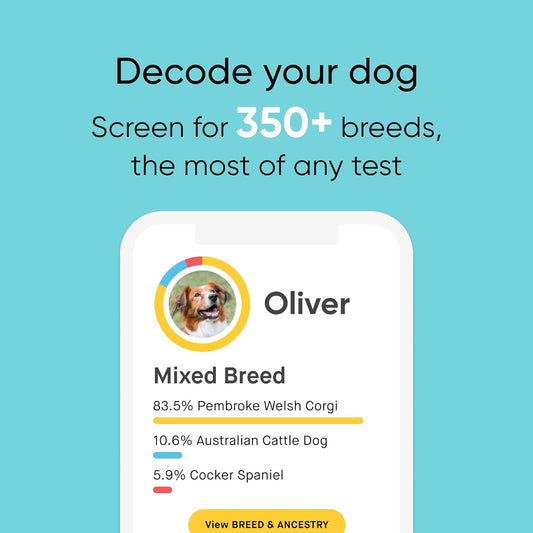 Kit de identificación de razas Prueba de ADN de perro más precisa Prueba de más