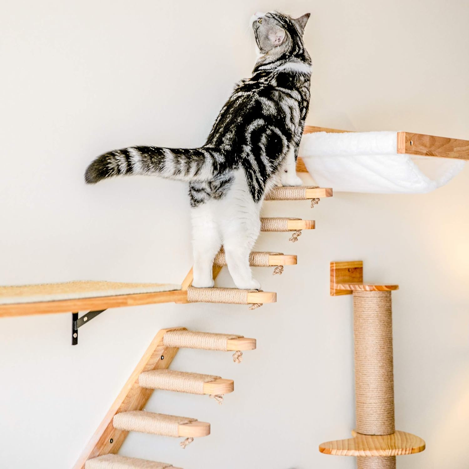 FUKUMARU Estante de escalada para gatos montado en la pared, escalera para