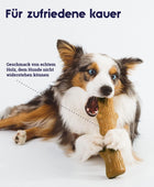 Masticables para perros Palillos masticables seguros y de larga duración