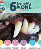 Dental Fresh Aditivo de agua dulce dental para mascotas, clínicamente probado,
