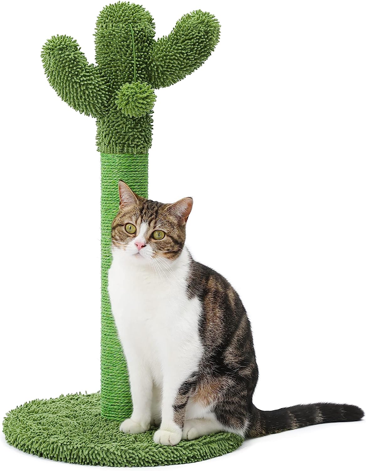 Poste rascador para gatos, rascador de cactus con cuerda de sisal natu -  VIRTUAL MUEBLES
