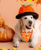 100 bandanas de otoño para perro, a granel, día de Acción de Gracias, bufandas