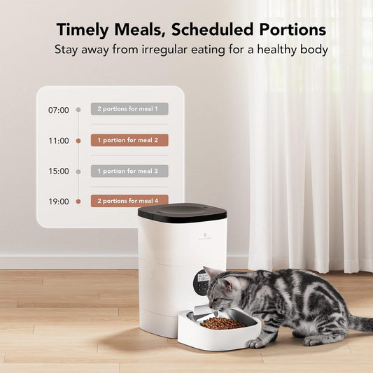 Dispensador de alimentos automático para gatos, horario de alimentación