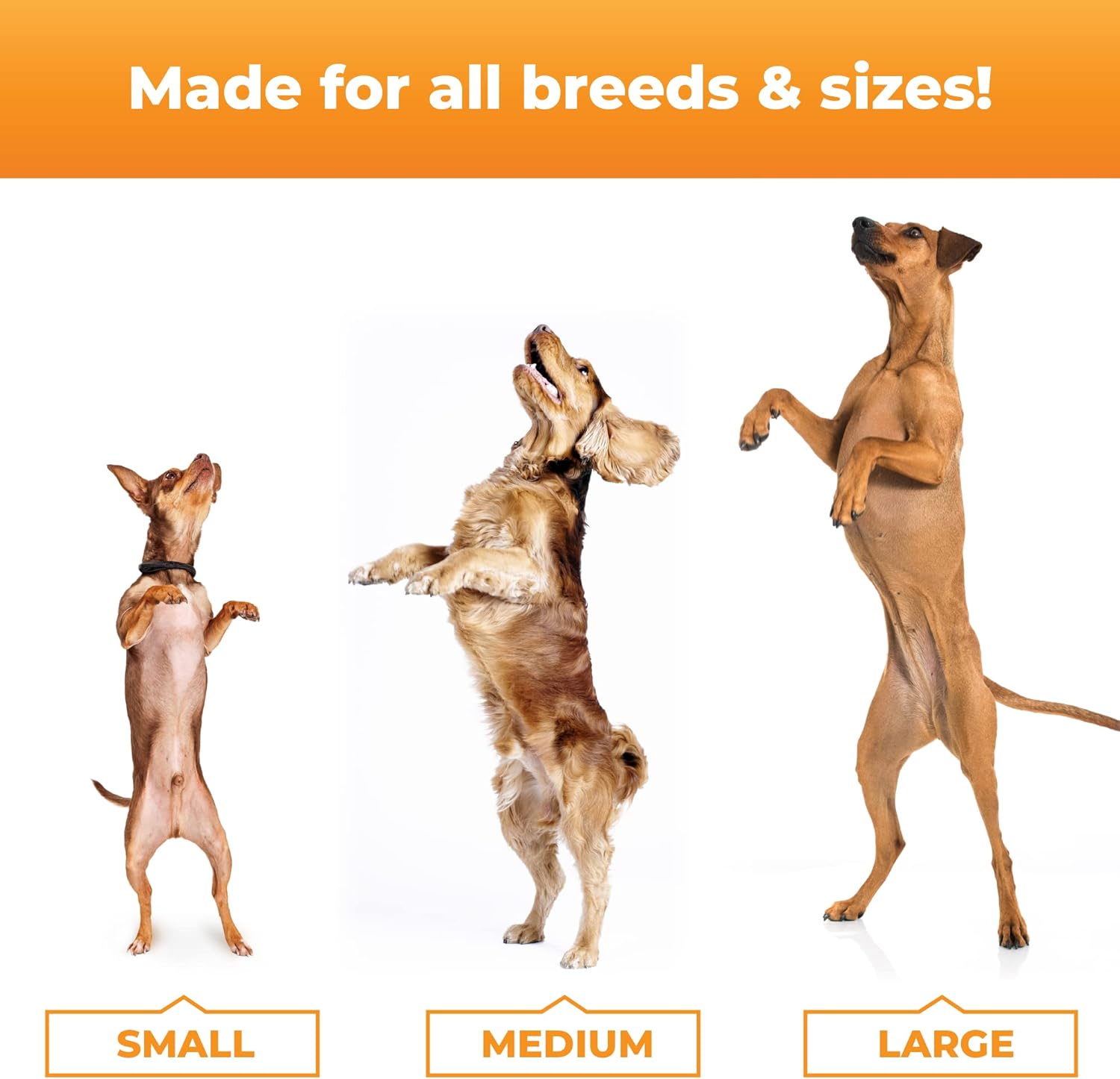 Masticables Glyco-flex III para perros de Vetri-Science Laboratories, tamaño