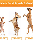 Masticables Glyco-flex III para perros de Vetri-Science Laboratories, tamaño