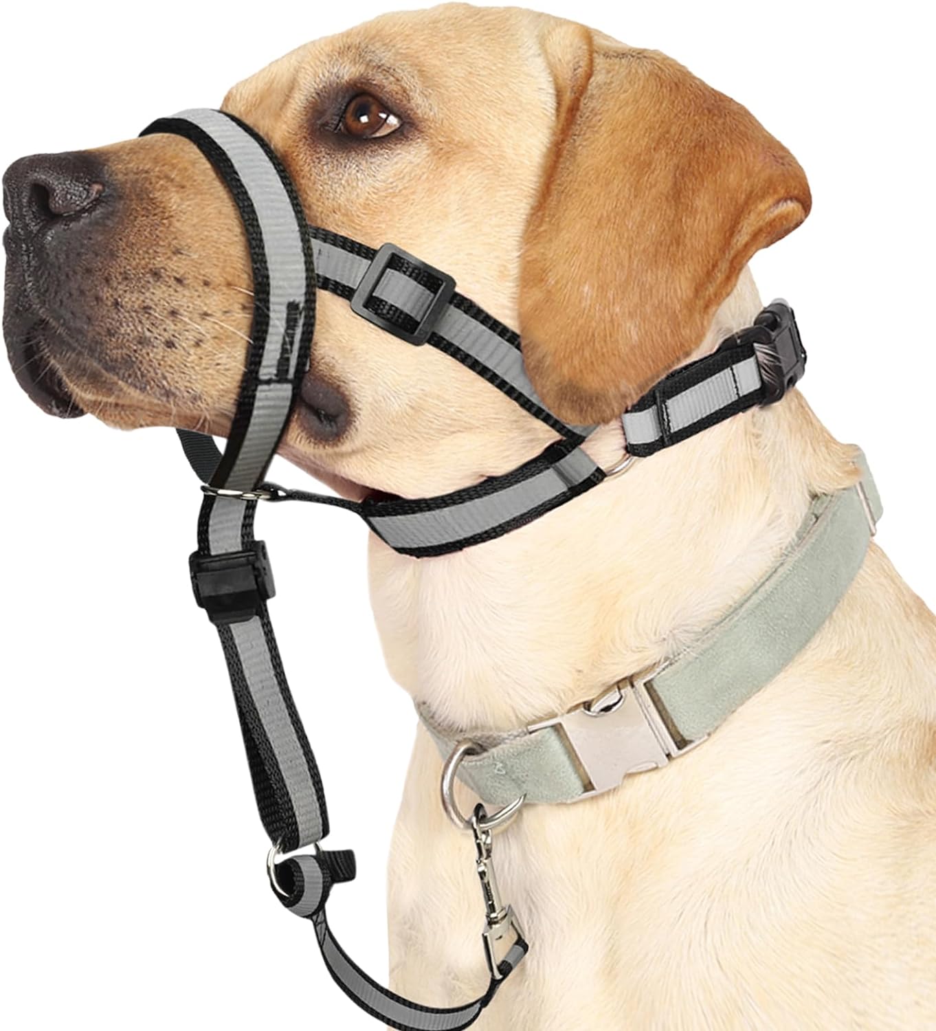 Collar reflectante para la cabeza, collar antitirones para perros gran -  VIRTUAL MUEBLES