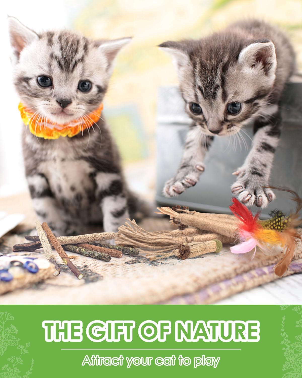 Silvervine Palitos masticables para gatos, paquete de 12 juguetes naturales