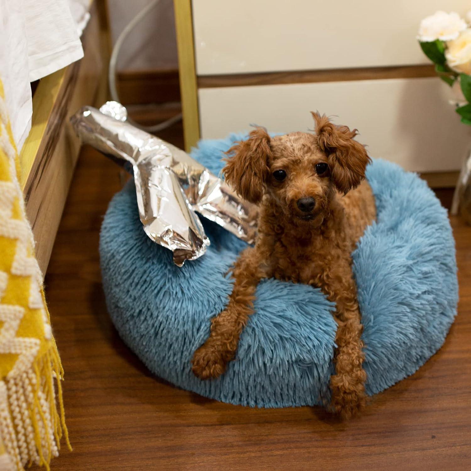 Cama para outlet perros recien nacidos