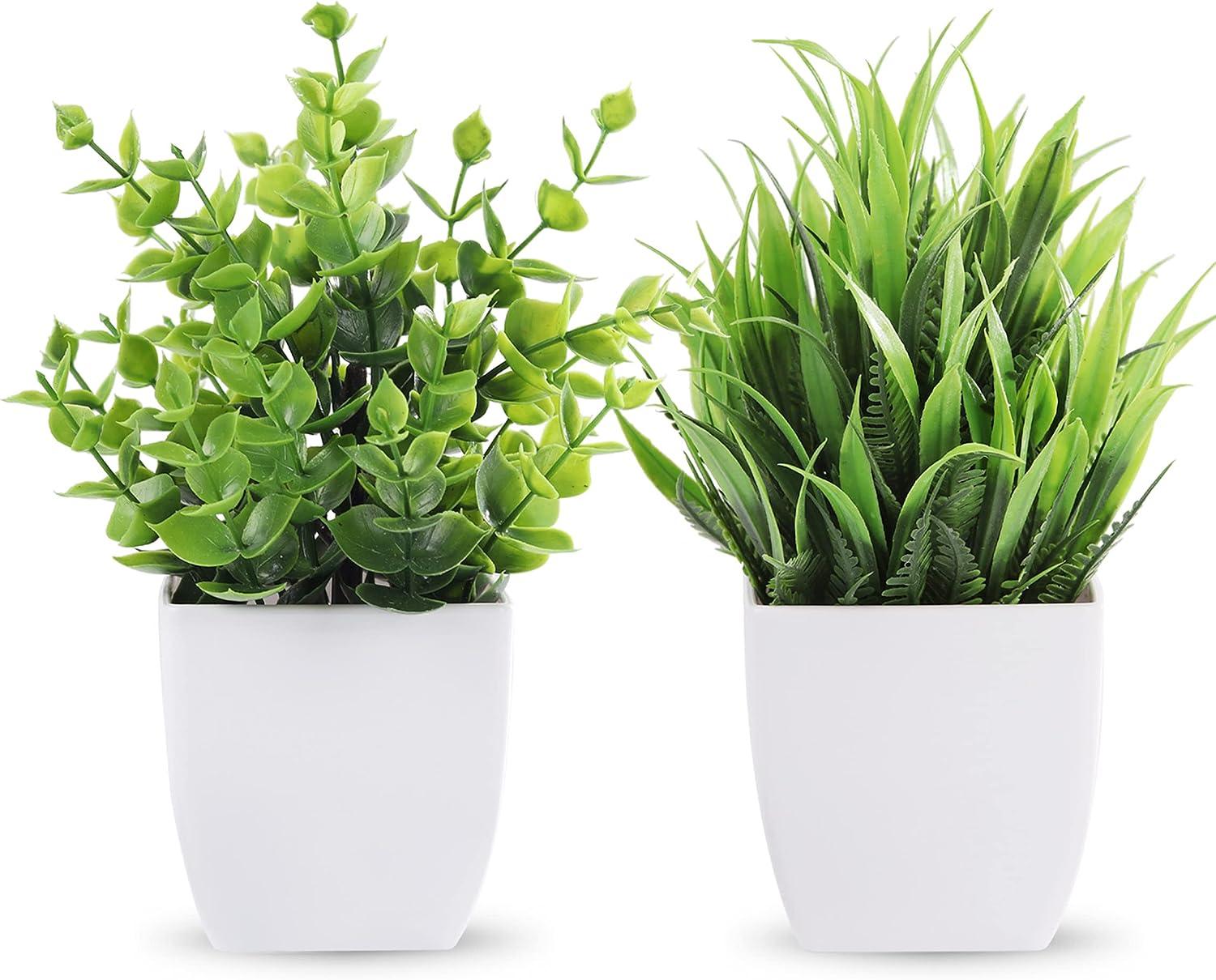 2 paquetes de plantas falsas pequeñas pequeñas plantas artificiales en -  VIRTUAL MUEBLES