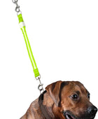 Extensión de correa de perro con luz LED de alta visibilidad verde, talla única